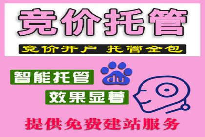 某电商平台充值返点活动用户行为分析